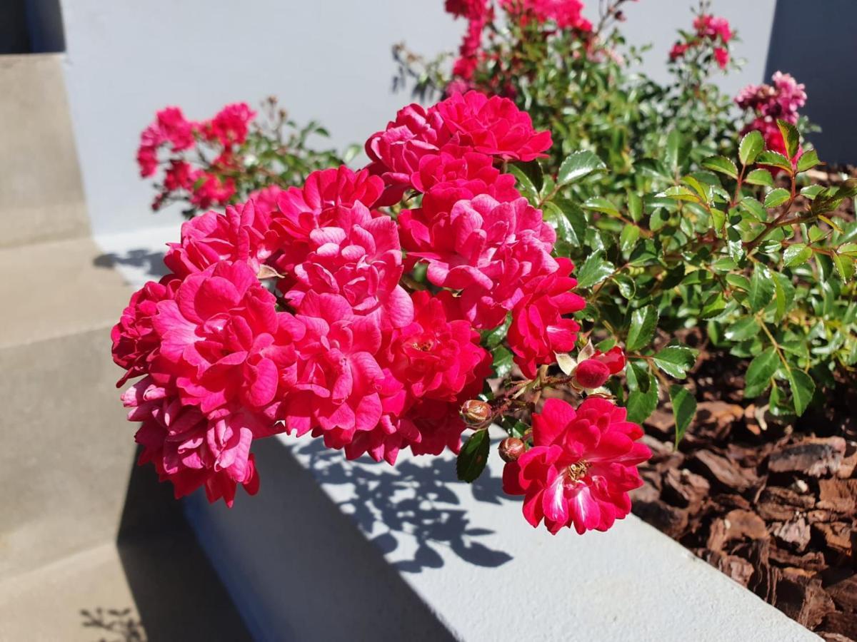 Apartamento Casa Atlantico Dachterrassengeschoss Ribeira Brava Exterior foto